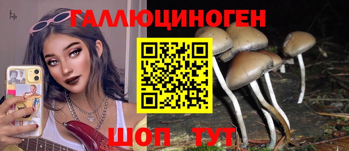 Псилоцибиновые грибы MAGIC MUSHROOMS Ковров