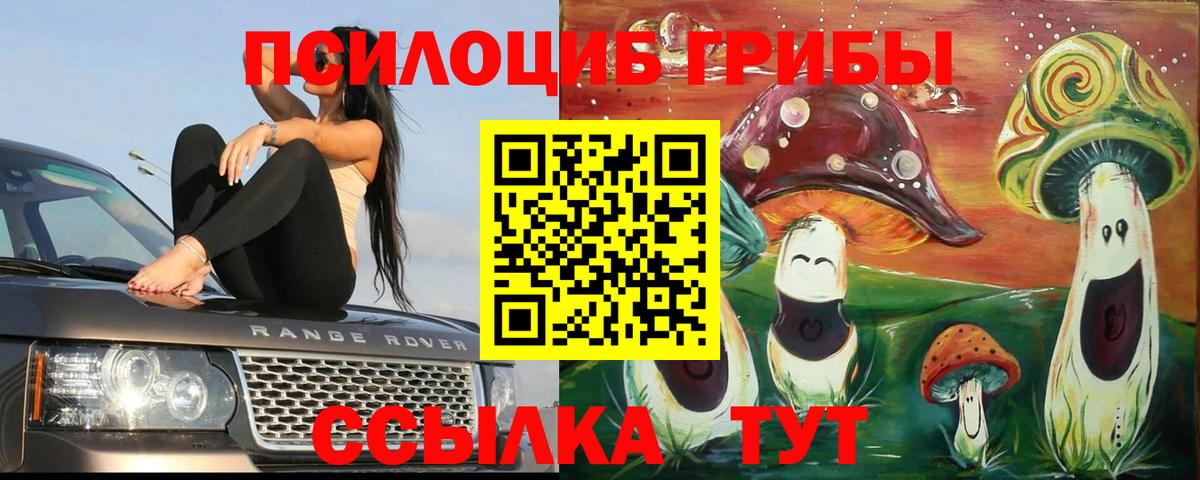 Ковров  Псилоцибиновые грибы Cubensis  Вход с VPN 